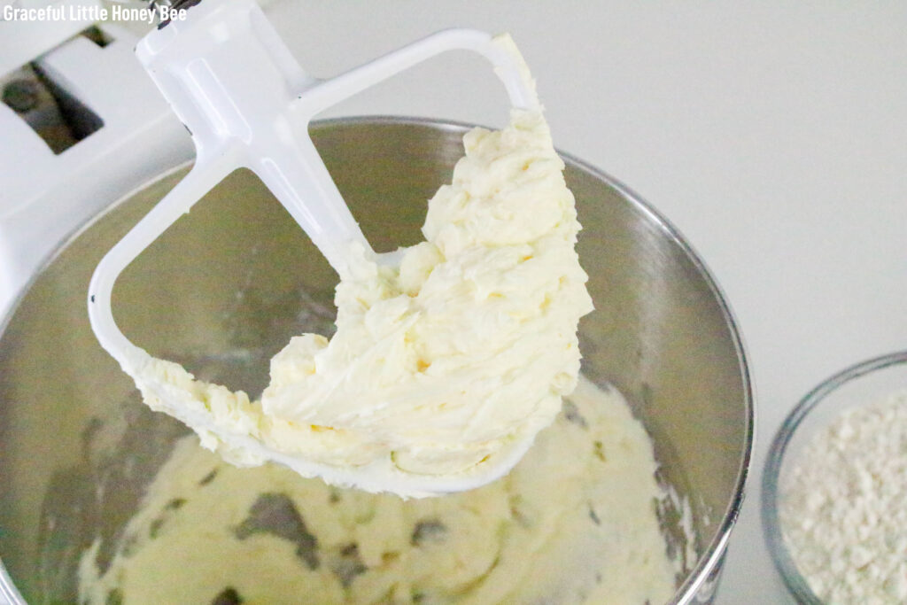 Butter and sugar creamed in mixer.