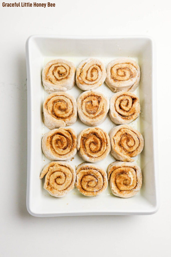 Cinnamon rolls placed in white casserole dish before going into the oven.