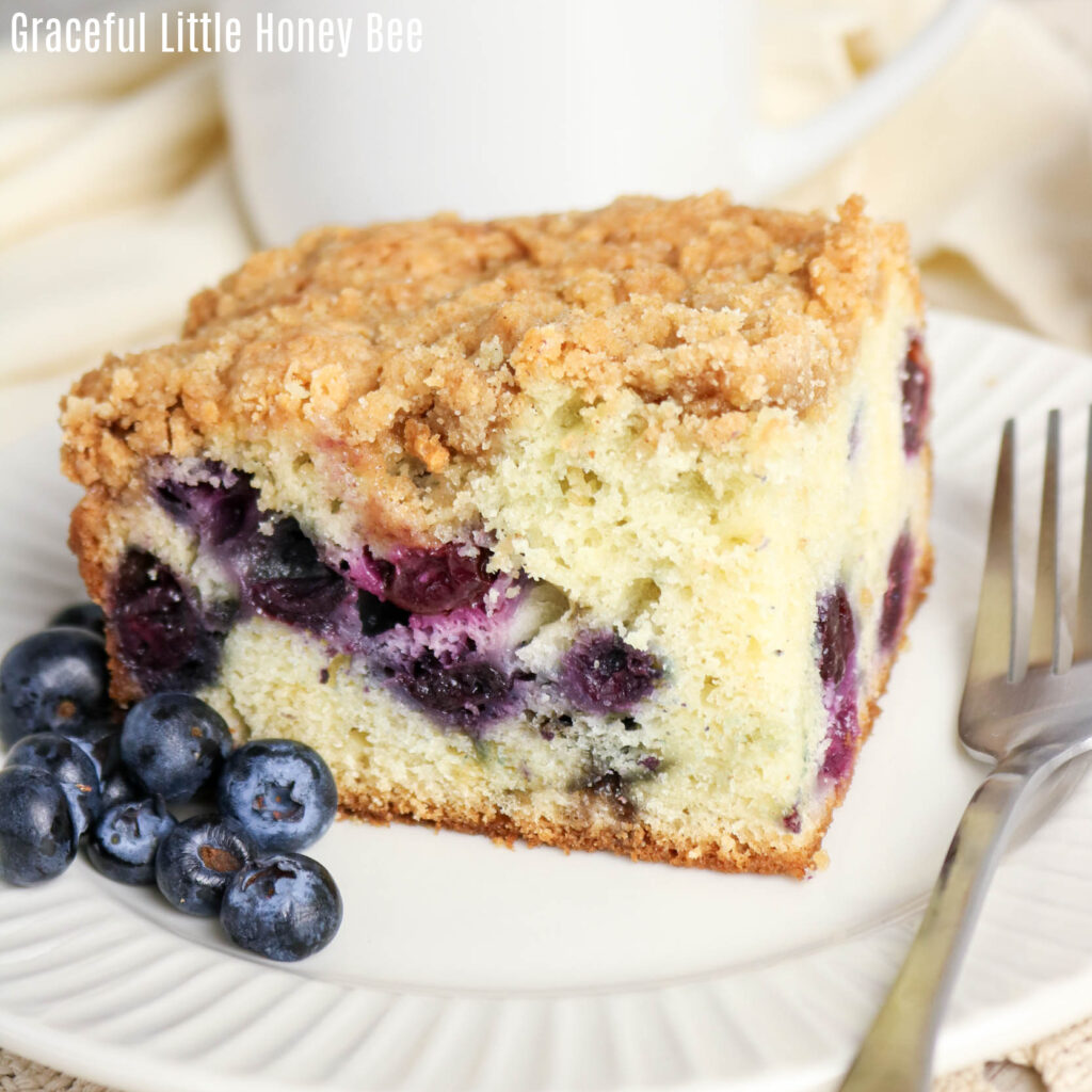 Slice of coffee cake sitting on a white plate garnished with fresh blueberries.